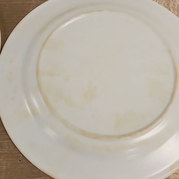 Trisa Melamine Hot Summer Plate Set of 4 10" - Picture 12 of 12